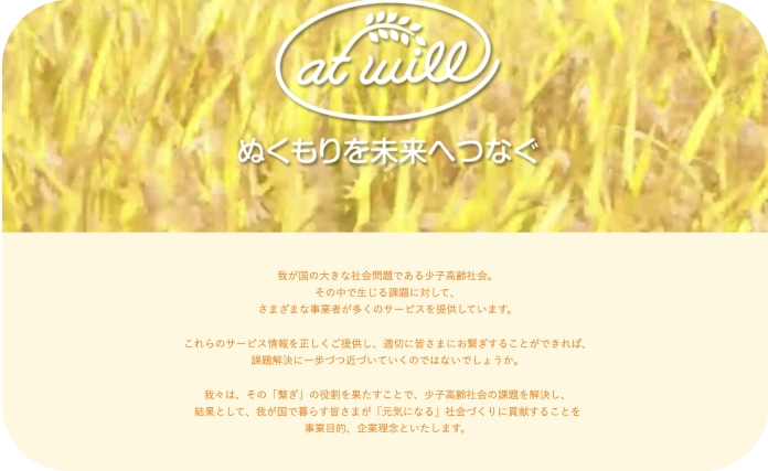 alt text